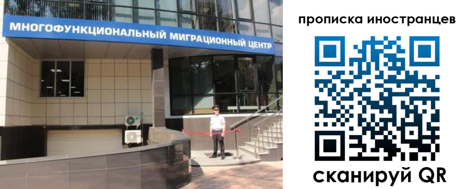 прописка поиск в Сафоново